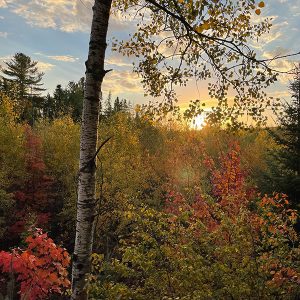 mid fall sunset